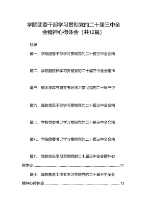 学院团委干部学习贯彻党的二十届三中全会精神心得体会（共12篇）.docx