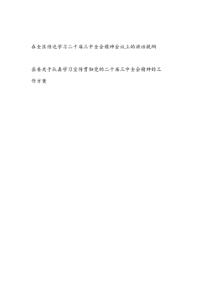 在区县传达学习二十届三中全会精神会议上的讲话提纲和学习宣传贯彻党的二十届三中全会精神的工作方案.docx