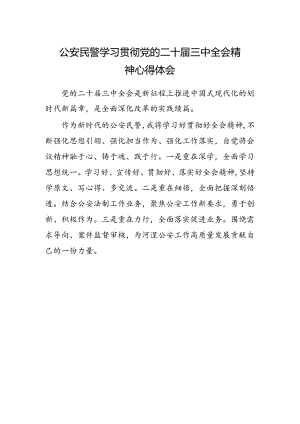 公安民警学习贯彻党的二十届三中全会精神心得体会.docx