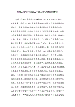 基层人员学习党的二十届三中全会精神心得体会感想研讨发言3篇.docx