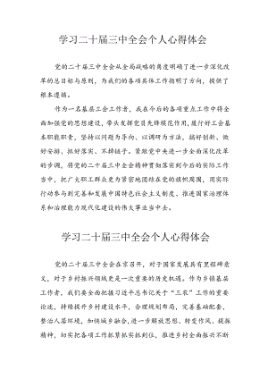 2024年学习《二十届三中全会》个人心得体会.docx