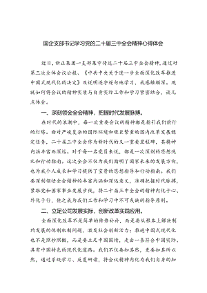 国企支部书记学习党的二十届三中全会精神心得体会（共8篇）.docx