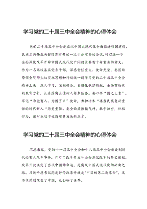 学习党的二十届三中全会精神的心得感悟交流发言二十七篇.docx