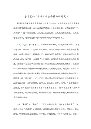学习贯彻二十届三中全会精神研讨发言10篇.docx