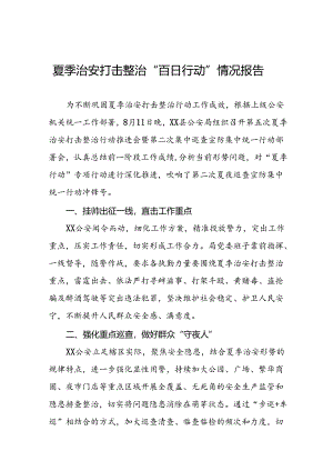 公安深入推进夏季治安打击整治行动情况报告十六篇.docx