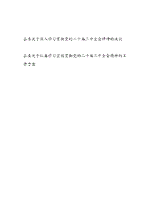 县委关于深入学习宣传贯彻党的二十届三中全会精神的决议和工作方案.docx