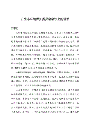 在生态环境保护委员会会议上的讲话.docx