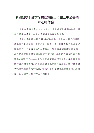乡镇妇联干部学习贯彻党的二十届三中全会精神心得体会.docx