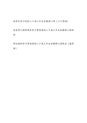 单位副职领导副书记学习党的二十届三中全会精神心得体会研讨发言3篇.docx