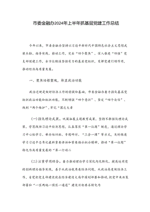 市委金融办2024年上半年抓基层党建工作总结.docx