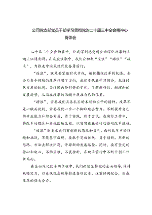 公司党支部党员干部学习贯彻党的二十届三中全会精神心得体会8篇供参考.docx