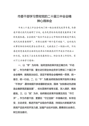 市委干部学习贯彻党的二十届三中全会精神心得体会.docx