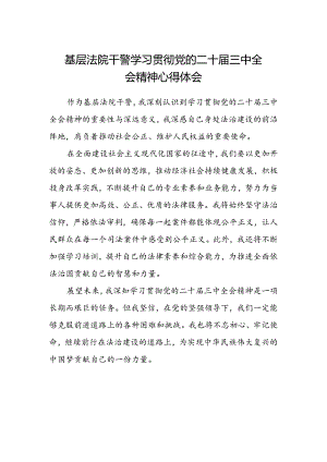 基层法院干警学习贯彻党的二十届三中全会精神心得体会.docx