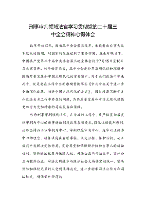 刑事审判领域法官学习贯彻党的二十届三中全会精神心得体会.docx