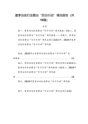 夏季治安打击整治“百日行动”情况报告(精选10篇汇编).docx