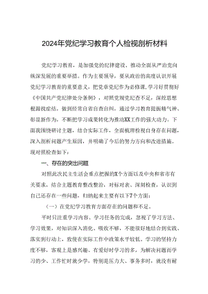 2024党纪学习教育专题民主生活会问题查摆检视对照材料十四篇.docx