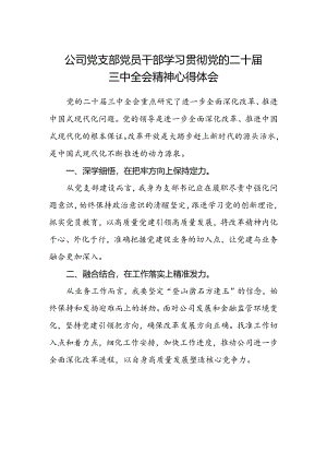 公司党支部党员干部学习贯彻党的二十届三中全会精神心得体会.docx