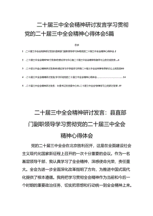二十届三中全会精神研讨发言学习贯彻党的二十届三中全会精神心得体会5篇.docx