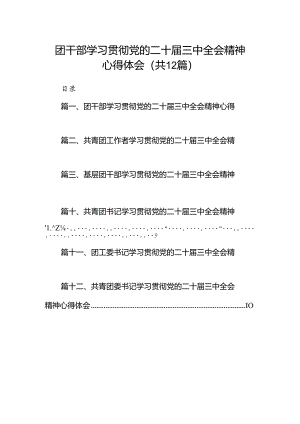 团干部学习贯彻党的二十届三中全会精神心得体会12篇（精编版）.docx