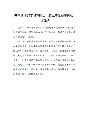 共青团干部学习党的二十届三中全会精神心得体会范文.docx