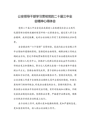 公安领导干部学习贯彻党的二十届三中全会精神心得体会 .docx