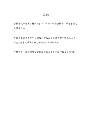 乡镇基层普通干部青年学习二十届三中全会精神研讨发言材料心得体会3篇.docx