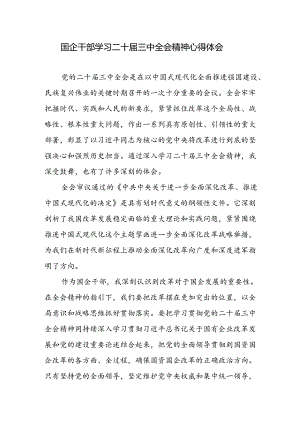 国企公司干部学习二十届三中全会精神心得体会感想.docx