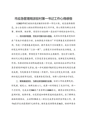 市应急管理局派驻村第一书记工作心得感悟.docx