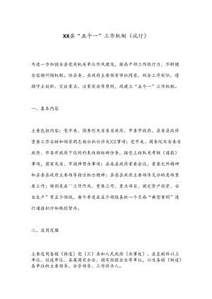 XX县“五个一”工作机制（试行）.docx