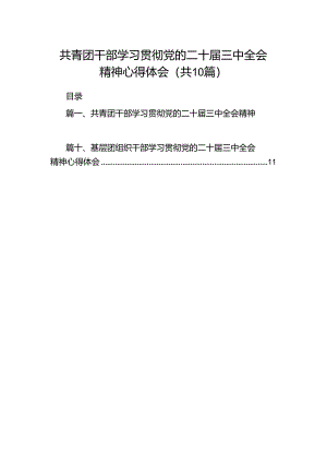 共青团干部学习贯彻党的二十届三中全会精神心得体会十篇（精选）.docx