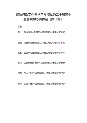 司法行政工作者学习贯彻党的二十届三中全会精神心得体会12篇（精选）.docx