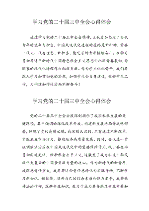 2024年学习党的二十届三中全会个人心得体会.docx
