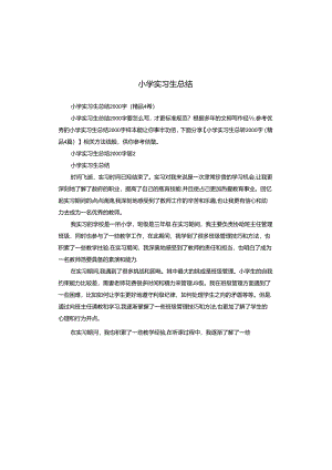 小学实习生总结.docx