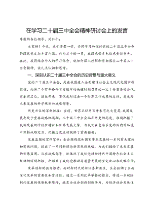 在学习二十届三中全会精神研讨会上的发言 .docx