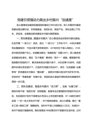 交流发言：党建引领强动力 跑出乡村振兴“加速度”.docx