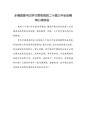 乡镇团委书记学习贯彻党的二十届三中全会精神心得体会.docx