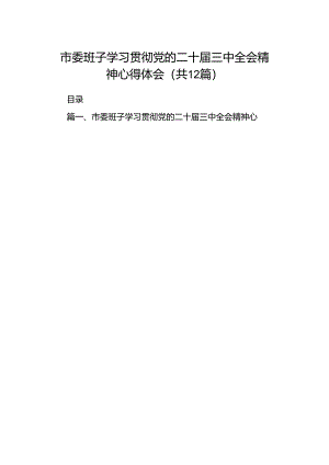市委班子学习贯彻党的二十届三中全会精神心得体会（共12篇）.docx