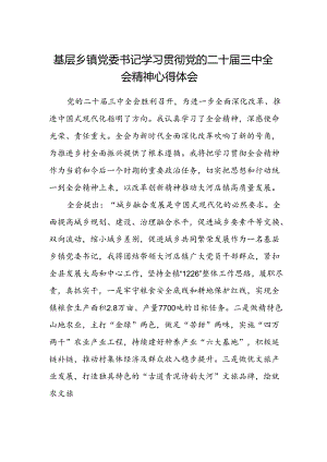 基层乡镇党委书记学习贯彻党的二十届三中全会精神心得体会.docx