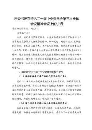 市委书记在传达二十届中央委员会第三次全体会议精神会议上的讲话.docx