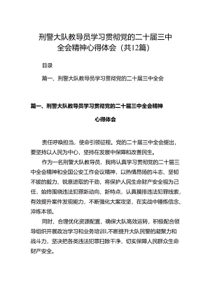 刑警大队教导员学习贯彻党的二十届三中全会精神心得体会（共12篇）.docx