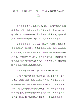 乡镇干部学习二十届三中全会精神心得感悟.docx
