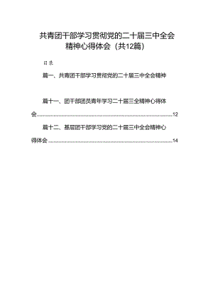 共青团干部学习贯彻党的二十届三中全会精神心得体会 （汇编12份）.docx