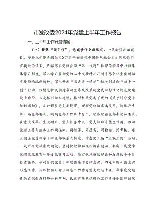 市发改委2024年党建上半年工作报告.docx