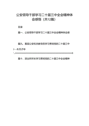 公安领导干部学习二十届三中全会精神体会感悟（共12篇）.docx