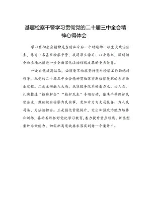 基层检察干警学习贯彻党的二十届三中全会精神心得体会范文.docx