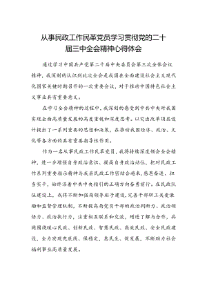 从事民政工作民革党员学习贯彻党的二十届三中全会精神心得体会.docx