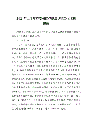 2024年上半年党委书记抓基层党建工作述职报告.docx