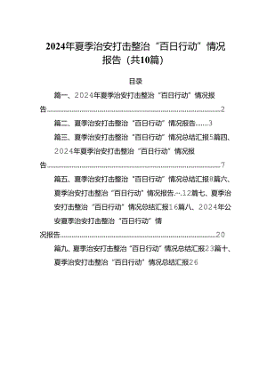 2024年夏季治安打击整治“百日行动”情况报告范文10篇供参考.docx