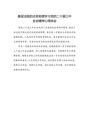 基层法院的法官助理学习党的二十届三中全会精神心得体会.docx