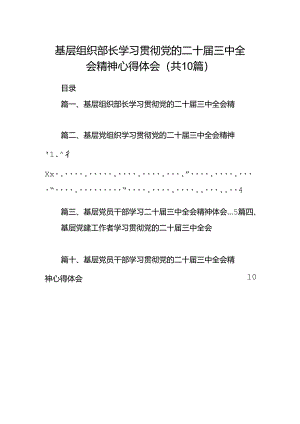 基层组织部长学习贯彻党的二十届三中全会精神心得体会（共10篇）.docx